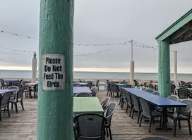 Louie's Backyard