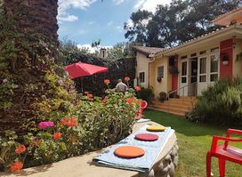 Joe's Secret Garden
