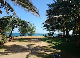Chez Georges | La Reine du Sud