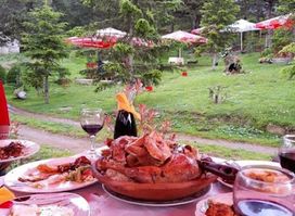 Bar Restorant "Veranda" Gjinar