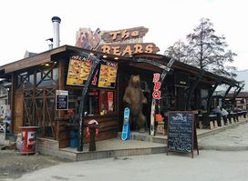 The Bears