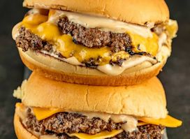 Burger Bugs