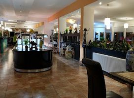 WOK Restaurant Neusiedl am See