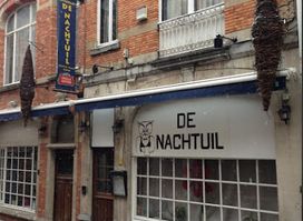 De Nachtuil