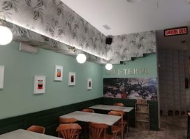 Patio de mi Casa
