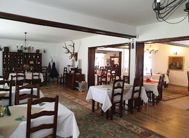 Restaurant Rhein Azuga