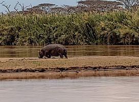 Rusizi National Park