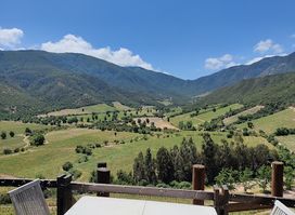 Colchagua Wine Tours