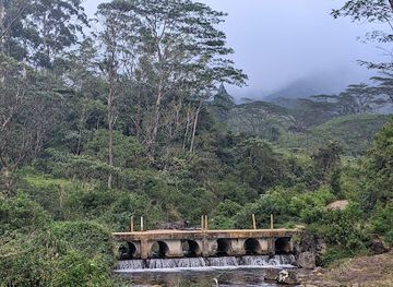 sri-lanka/knuckles-mountain-range/restaurant/trek-in-the-knuckles-mountain-range