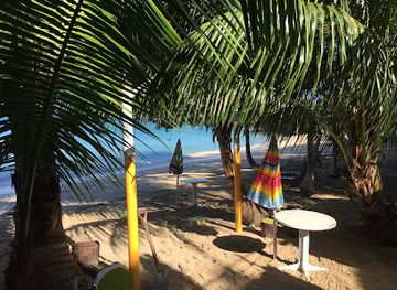 barbados/mullins-beach/restaurant/coconut-palm-west