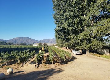 chile/colchagua-valley/restaurant/cafe-de-la-vina