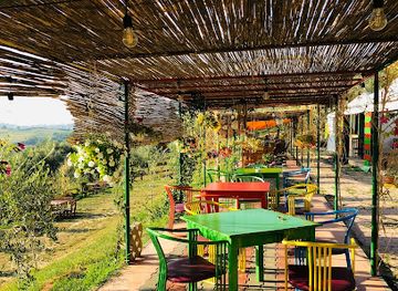 albania/puka/restaurant/turtle-farm-albania
