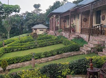 uganda/bwindi-impenetrable-national-park/restaurant/silverback-lodge