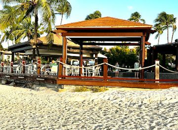 aruba/andicuri-beach/restaurant/red-parrot-restaurant