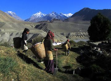 nepal/upper-mustang/restaurant/pema-restaurant