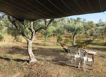 portugal/tras-os-montes/restaurant/comida-quinta-om