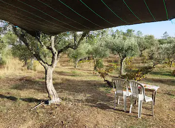 CoMIDa quinta om
