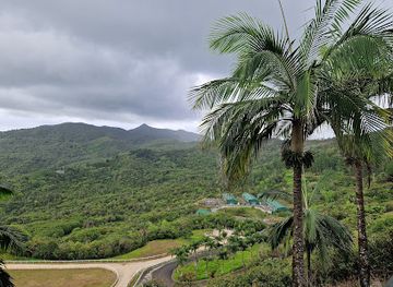 mauritius/black-river-gorges-national-park/restaurant/la-table-du-currybou