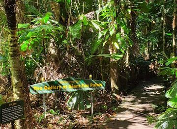 australia/daintree-rainforest/restaurant/daintree-fan-palm-farm