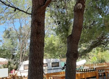 albania/lezhe/restaurant/bar-restaurant-camping-private-beach-more