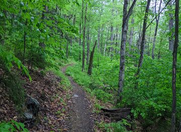 vermont/green-mountains-national-forest/restaurant/green-mountain-national-forest-rochester-ranger-station