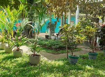 sri-lanka/wilpattu-national-park/restaurant/pallelu-hotel-katerin-sarwis