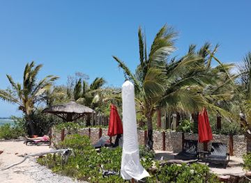 new-caledonia/grande-terre/restaurant/au-filao-ile-aux-canards-restaurant-noumea