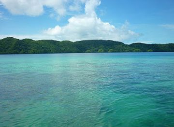 palau/babeldaob-island/restaurant/palm-bay-bistro