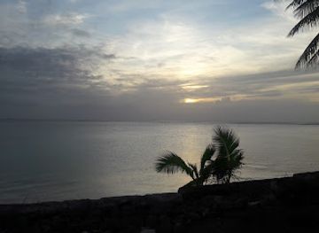 marshall-islands/lae-atoll/restaurant/outrigger-bar-grill