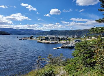 canada/gros-morne-national-park/restaurant/the-cat-stop