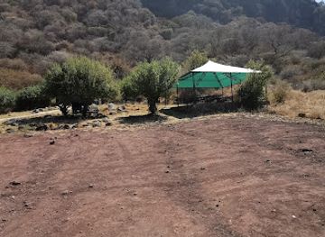 tanzania/lake-manyara-national-park/restaurant/lake-manyara-picnic-site