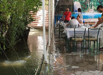 uzbekistan/samarkand-region/restaurant/unique-somsa
