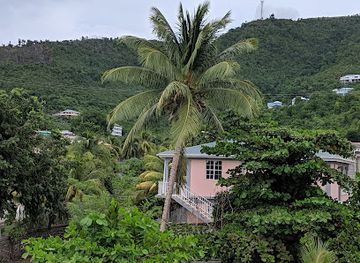 dominica/indian-river/restaurant/indee-s-beach-bar-and-restaurant