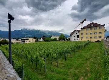 liechtenstein/augstenberg-trail/restaurant/hotel-gasthof-lowen