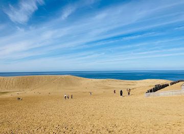 japan/tottori-sand-dunes/restaurant/kaisen-monoya-murakami-suisan-sengyo-bu-sazou-basutei-mae-ten