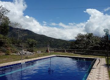 bolivia/yungas/restaurant/yolosita-coroico