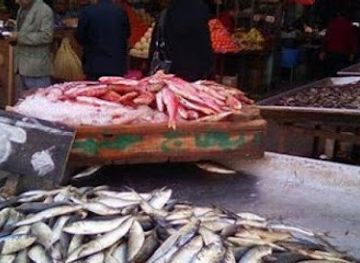 egypt/port-said/restaurant/restaurant-and-port-said-fish-replaces