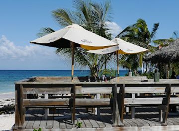 the-bahamas/eleuthera-island/restaurant/tippy-s-restaurant-and-beachside-bar