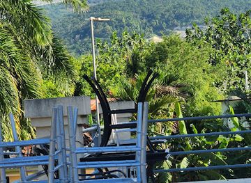 jamaica/north-coast/restaurant/milestone-restaurant-sports-bar-grill