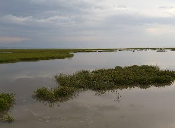 kenya/kisumu/restaurant/fabo-restaurant