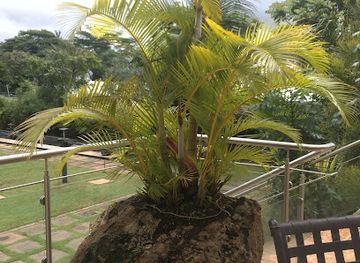 kenya/mount-elgon-national-park/restaurant/johari-restaurant