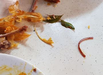 singapore/tampines/restaurant/supreme-kitchen-delights