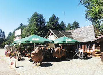 poland/białowieża-forest/restaurant/zajazd-nad-stawami-przy-parkingu-kuchnia-regionalna-dobre-domowe-jedzenie