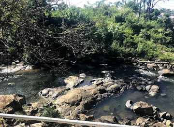 puerto-rico/el-yunque-national-forest/restaurant/la-resaca