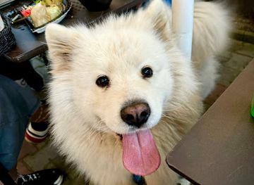 poland/kuyavian-pomeranian-lake-district/restaurant/surowe-wnetrze