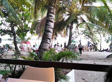 dominican-republic/bayahibe/restaurant/el-palacio-del-marisco