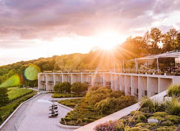 france/champagne/restaurant/royal-champagne-hotel-spa