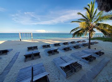 the-bahamas/grand-bahama-island/restaurant/the-stoned-crab-restaurant