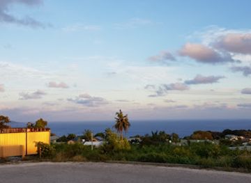 christmas-island/margaret-knoll/restaurant/seaview-fish-chipz