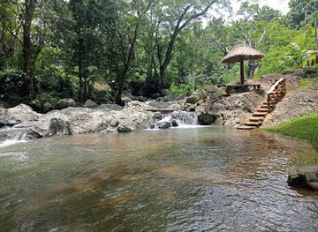 fiji/taveuni/restaurant/koroyanitu-national-park